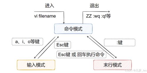 Linux常用命令（二） 從編輯器到系統(tǒng)管理的全面指南