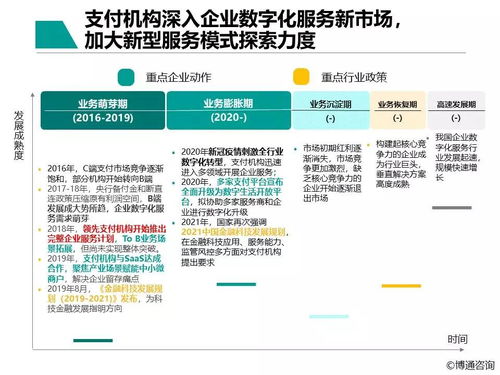 中國支付行業(yè)產(chǎn)業(yè)數(shù)字化服務(wù)專題分析2021 數(shù)字內(nèi)容制作服務(wù)