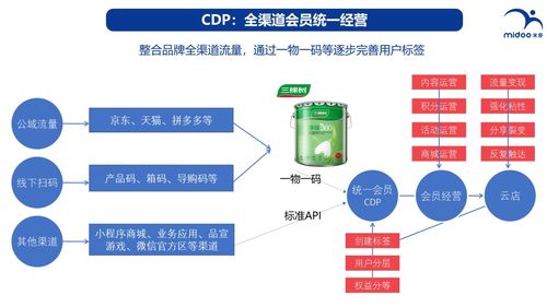 營銷數字化案例63 中國涂料品牌頂梁柱三棵樹的數字化轉型與數字內容制作服務